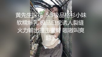 黄先生探花  5.9极品格衫小妹软糯爆乳 极品白虎诱人裂缝 火力输出撞击蜜臀 嗷嗷叫爽翻了