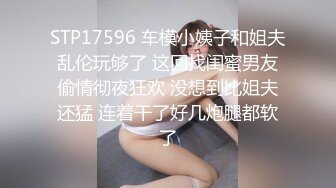 STP17596 车模小姨子和姐夫乱伦玩够了 这回找闺蜜男友偷情彻夜狂欢 没想到比姐夫还猛 连着干了好几炮腿都软了