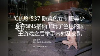 KTV爆操极品反差人妻，挑战最刺激的场所做爱，高冷给谁看 操爽了比谁都叫的声音大 平时有多高冷 床上就有多饥渴 (1)