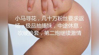 后入骚母狗（收奴）