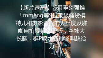 -软萌网红小仙VIP私拍之女仆尾巴 原版超清粉嫩逼逼