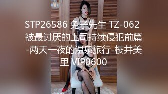 麻豆傳媒兔子先生TZ-062-01兩天壹夜持續侵犯前篇