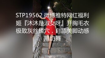 帝都美臀租妻计划 第九个客户 持续更新