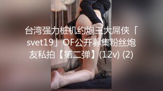 台湾强力桩机约炮王大屌侠「svet19」OF公开募集粉丝炮友私拍【第二弹】(12v) (2)