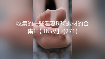 收集的一些淫妻BBC题材的合集1【385V】 (271)