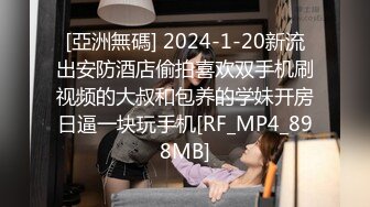 MDX-0161.赵一曼.商务女大使的魅惑.狂乱榨精夜夜笙歌.麻豆传媒映画