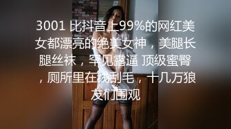 趁老婆出差我请了个女仆来做清洁