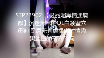 麻豆传媒动漫『超魔改』新作-霸气爆乳女帝化身痴女 借酒色诱强上路飞操粉穴