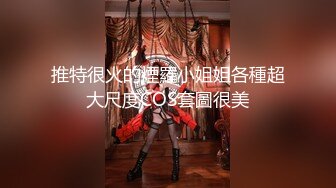 豪宅双女仆餐桌上的激烈碰撞 - 夏暮光 x Mini肉包