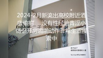 2024-2月新流出高校附近酒店偷拍❤️没有性经验青涩小情侣开房啪啪动作非常生涩摸索中