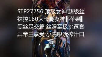 情欲协奏曲第三乐章