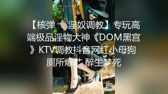 【核弹❤️淫奴调教】专玩高端极品淫物大神《DOM黑宫》KTV调教抖音网红小母狗 厕所爆艹 醉生梦死