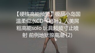 【硬核高能预警】极品小岛国温柔似水CD《红叶》人美屌粗高能solo 玩具超频寸止喷射 前例地狱腺高潮 (2)