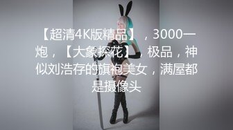 【超清4K版精品】，3000一炮，【大象探花】，极品，神似刘浩存的旗袍美女，满屋都是摄像头