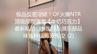 超级御姐！无敌甜美大长腿，把美腿伸直了自慰 (4)