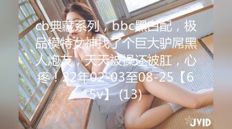 cb典藏系列，bbc黑白配，极品模特女神找了个巨大驴屌黑人炮友，天天被操还被肛，心疼！22年02-03至08-25【65v】 (13)