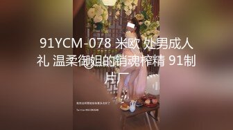 麻豆传媒映画 MD-0341 为绿帽奴出轨的美人妻 无奈体验NTR的骚逼 小茉 中英字幕