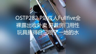 STP28138 國產AV Pussy Hunter PS013 搭讪風騷女鄰居 VIP0600