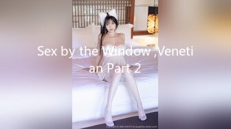 Sex by the Window ,Venetian Part 2